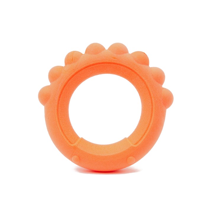 Frubba Scent Octo Ring Dog Toy