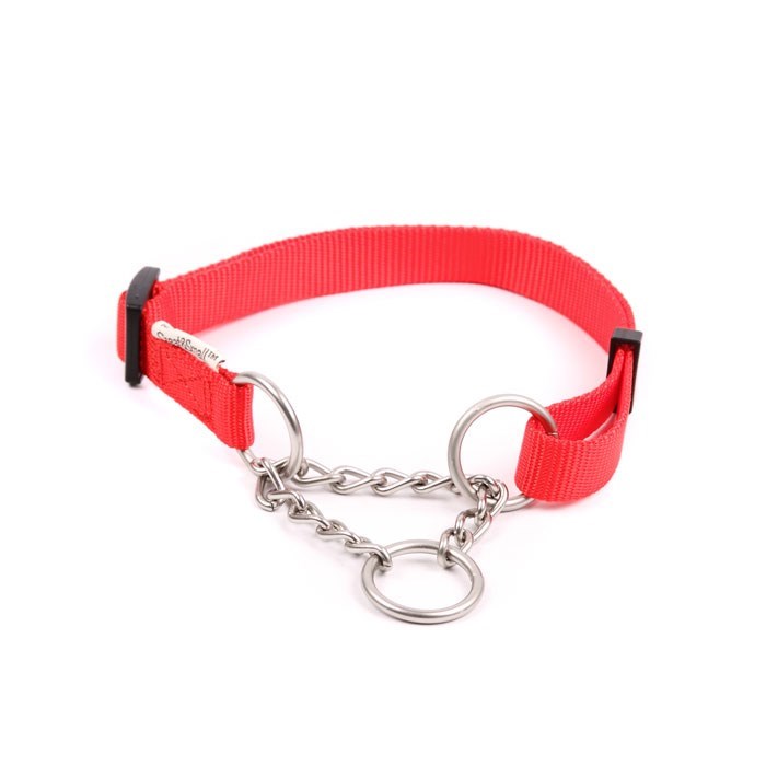 Classic Combi Pet Collar Red
