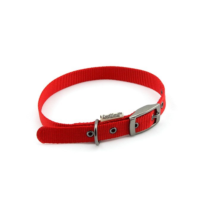 Classic Buckle Pet Collar Red