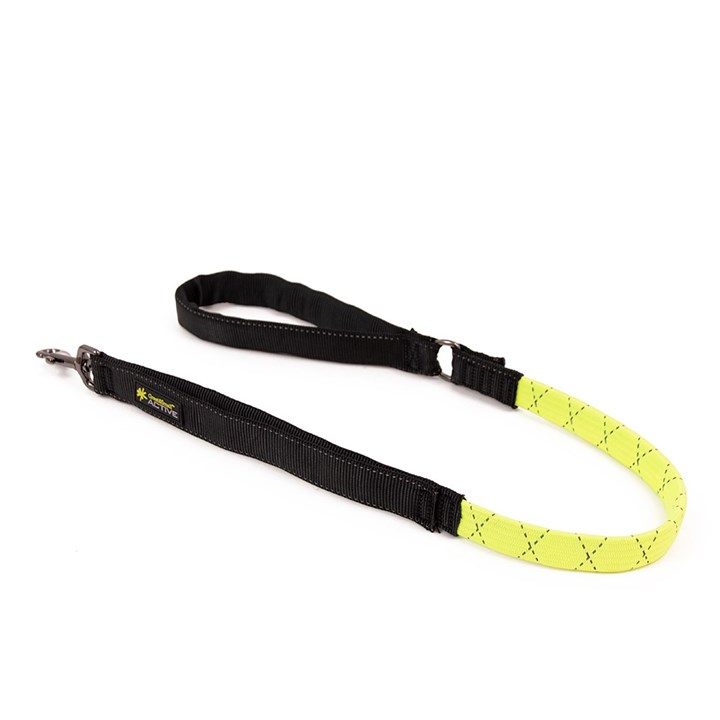 Active Shock Absorbing Dog Lead