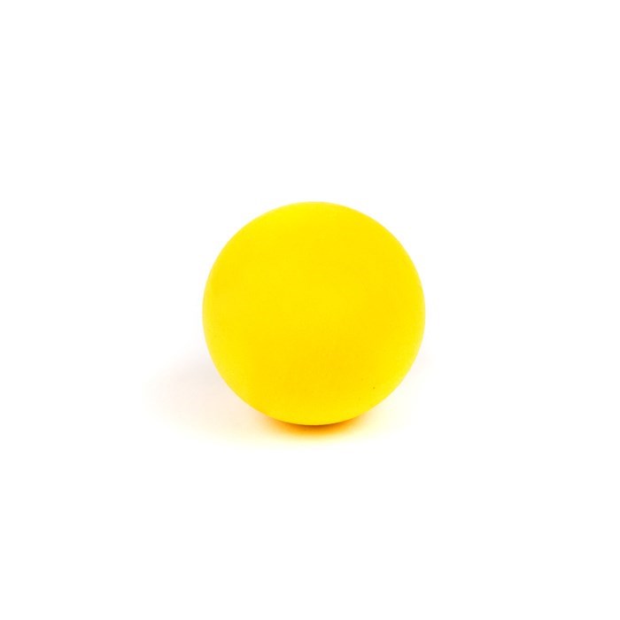 Clean Catch Antibacterial Ball Dog Toy