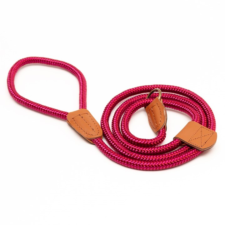 Country Rope Slip Dog Lead Red
