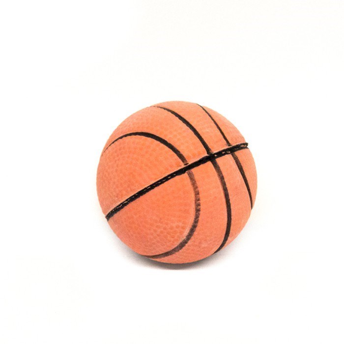 Floating Sport Ball Dog Toy