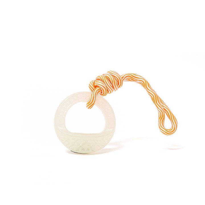 Glow in the Dark Ring & Rope Dog Toy