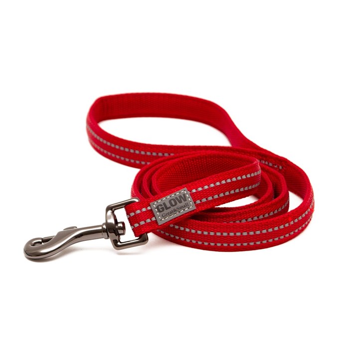 Glow Dog Lead Red
