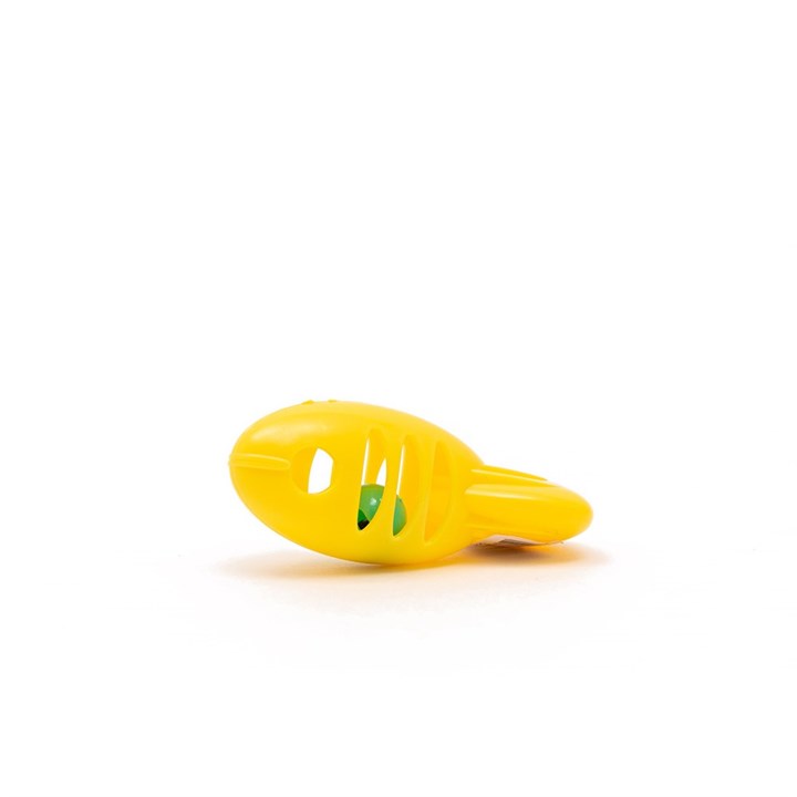 Fish Bell Cat Toy
