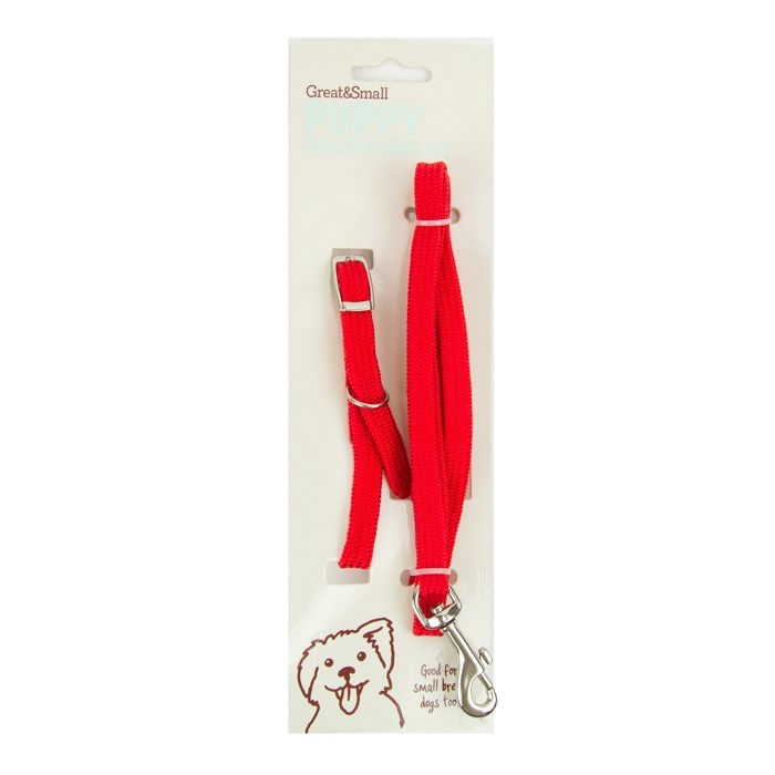 Little&Lively Puppy Collar & Lead Red