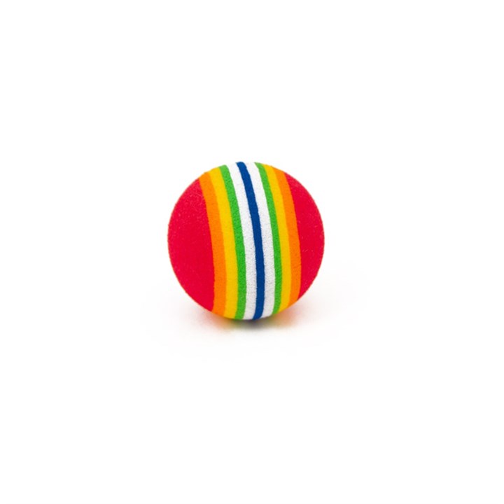 Rainbow Ball Cat Toy