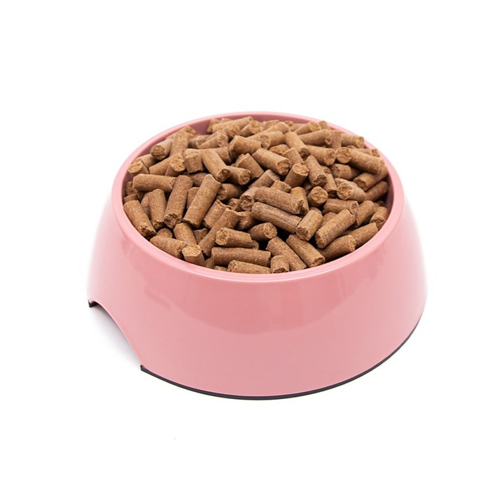 Rose Pink Melamine Pet Bowl