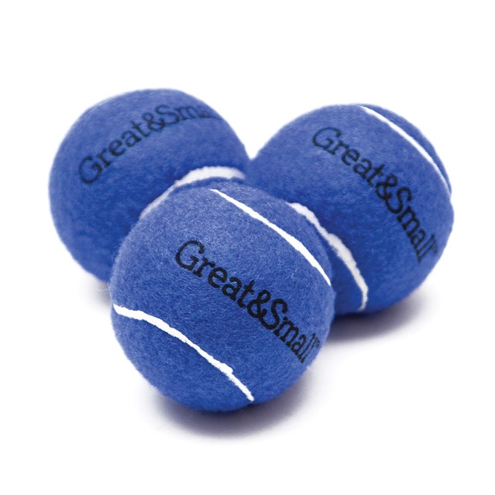 Squeaky Blue Tennis Ball Dog Toy