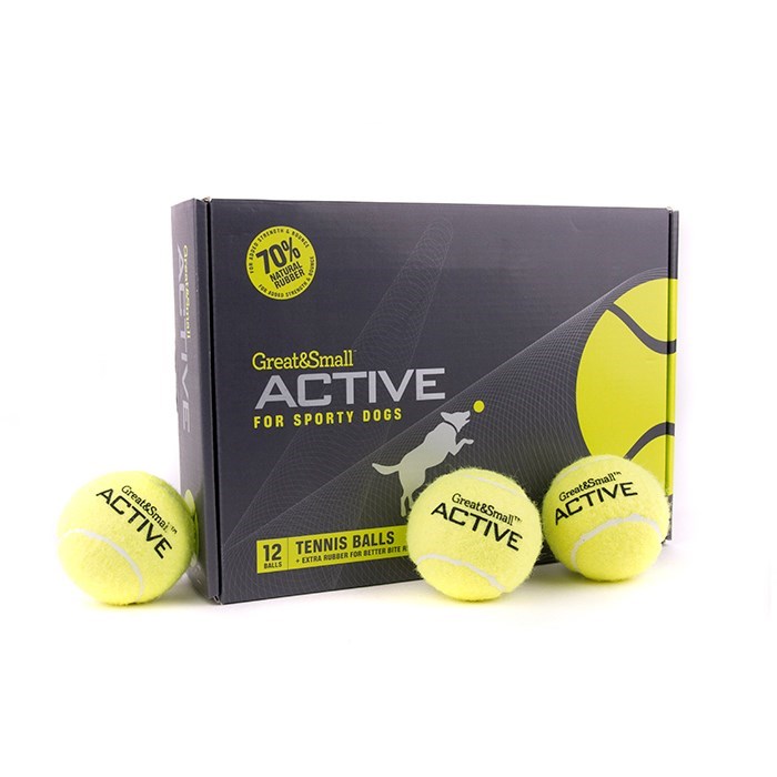 Active Tennis Ball Dog Toy (12)