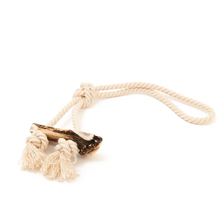 Green Elk Antler Split & Rope Dog Toy