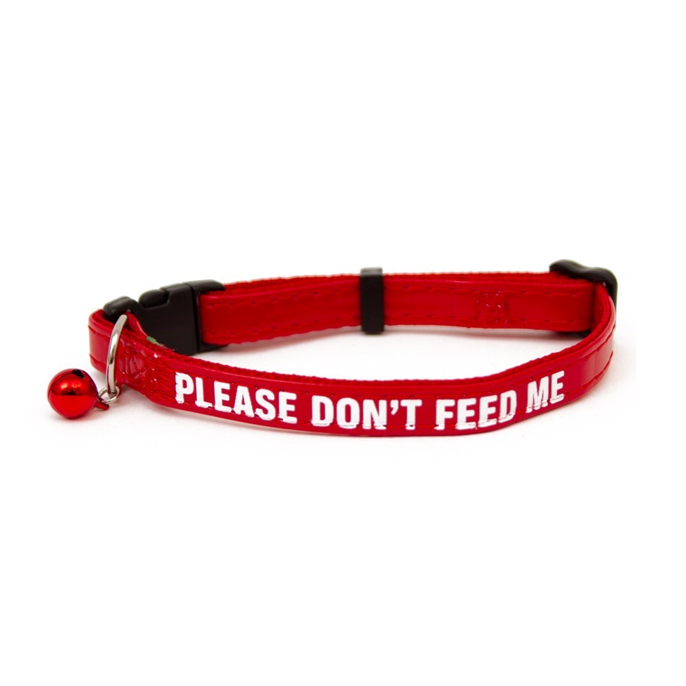 Please Don't Feed Cat Collar Great & Small