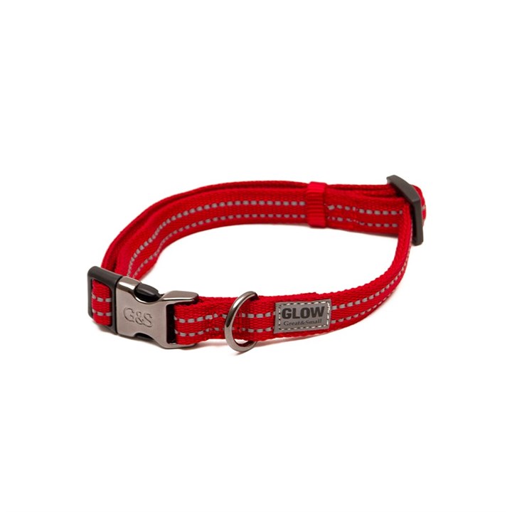 Glow Dog Collar Red