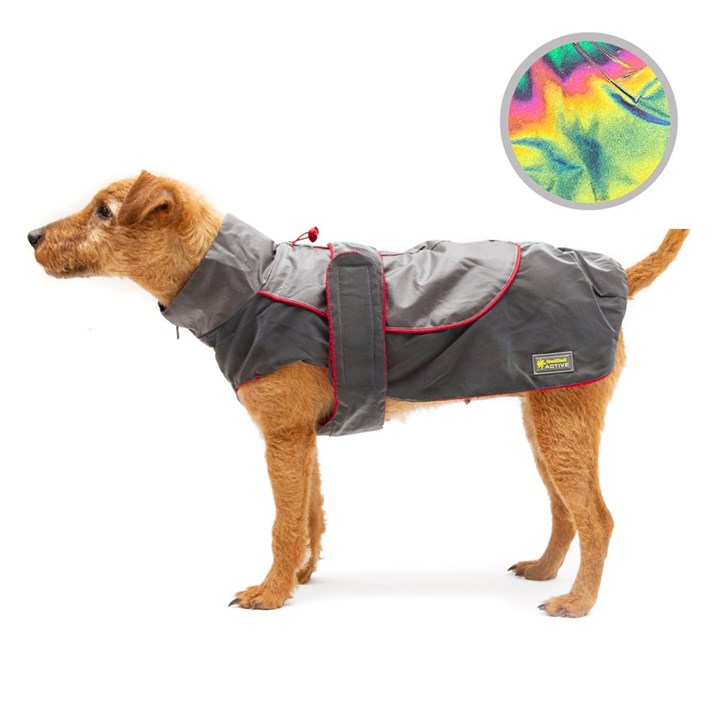 Active Reflective Rainbow Raincoat Red Trim Dog Coat