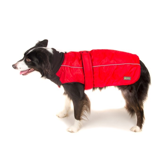 Sports Dog Coat Red
