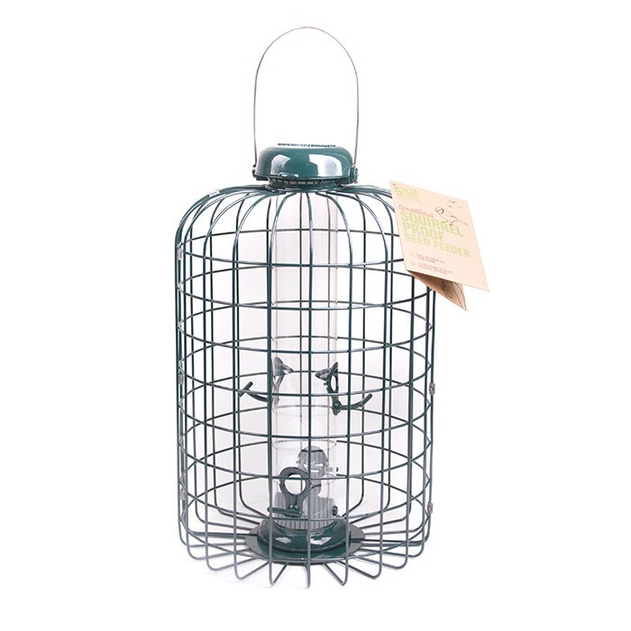 Great & Small Premium Squirrel Proof Seed Feeder