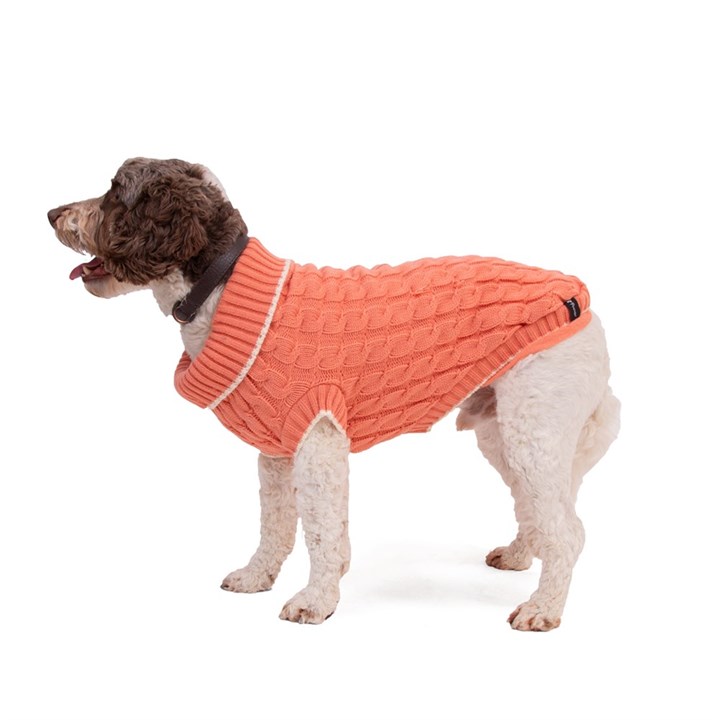 Penrose Knit Sweater Peach Dog Jumper